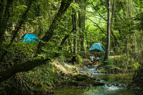 Quels sont les équipements nécessaires pour un camping en région de forêt dense?