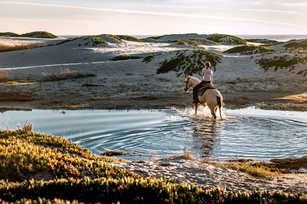Où peut-on louer une maison de vacances en France avec des cours de cuisine provençale et des balades à cheval?
